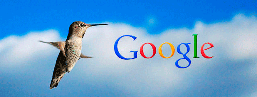 como funciona google colibri